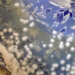 Fermenting (3)